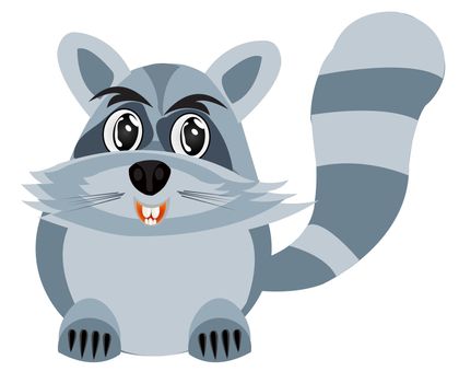 Illustration of the racoon on white background is insulated