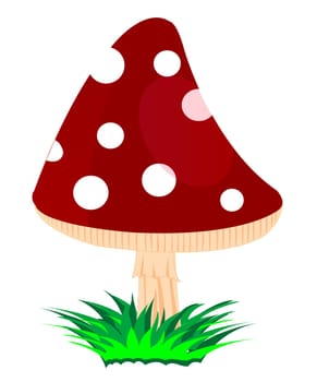 Illustration of the mushroom fly agaric on white background is insulated