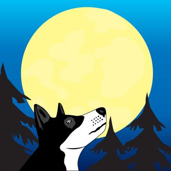 Dog in wood wails on moon