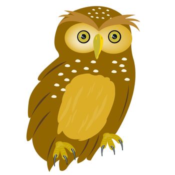 Illustration of the owl on white background is insulated