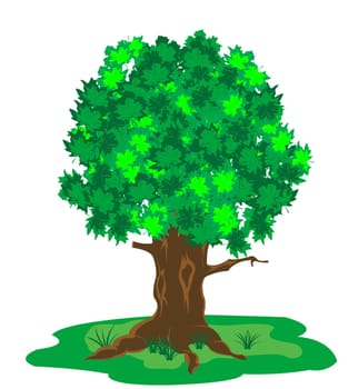 Year tree with green sheet on white background