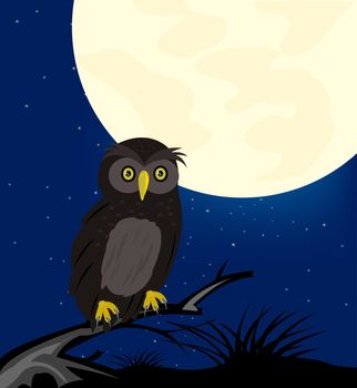 Owl sits on tree moon in the night