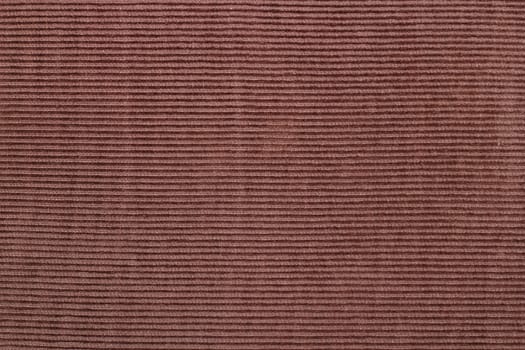 textured material of trousers - brown fabric