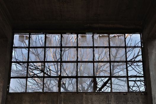 Tree branches behind broken window in abandoned factory interior. Concrete wall and ceiling.