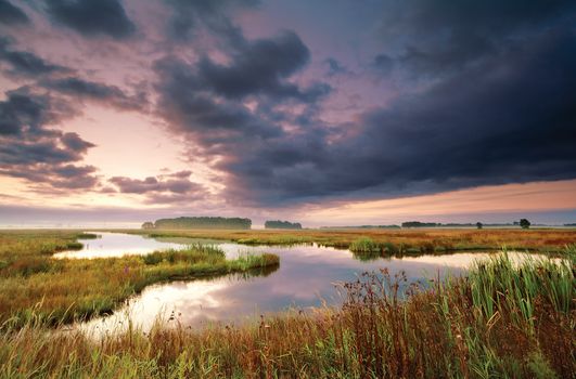 wild lake in Drenthe in summer at sunrise