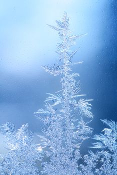 The patterns made by the frost on the window (hoarfrost background)