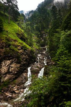fast alpine river in the forest Alps