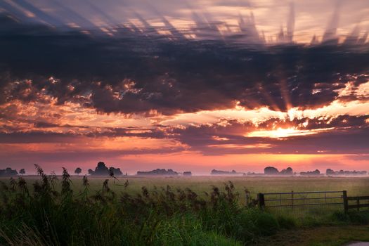 summer warm sunrise in countryside
