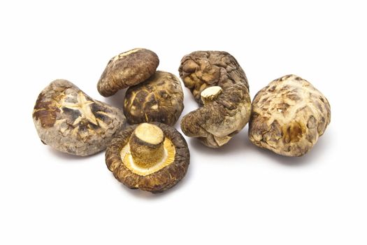 Dried mushrooms closeup on white background