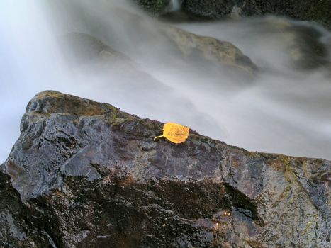 Beautiful flowing water of mountain stream