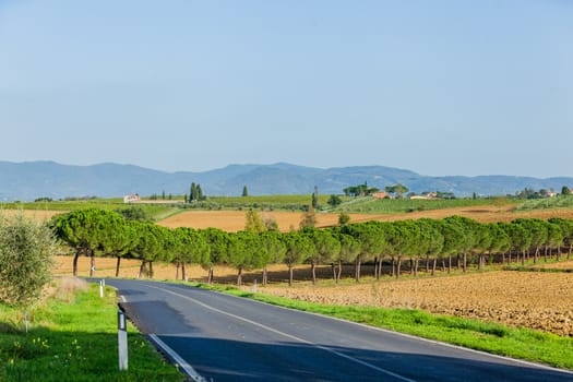 Typical beautiful Tuscan landscape-trees, grass, ski, villa. Italy