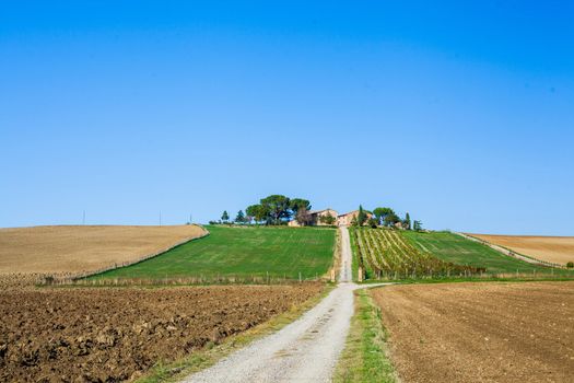 Typical beautiful Tuscan landscape-trees, grass, ski, villa. Italy