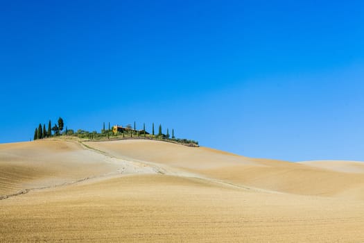 Typical beautiful Tuscan landscape-trees, grass, ski, villa. Italy