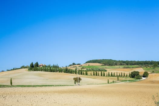 Typical beautiful Tuscan landscape-trees, grass, ski, villa. Italy