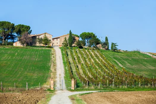 Typical beautiful Tuscan landscape-trees, grass, ski, villa. Italy