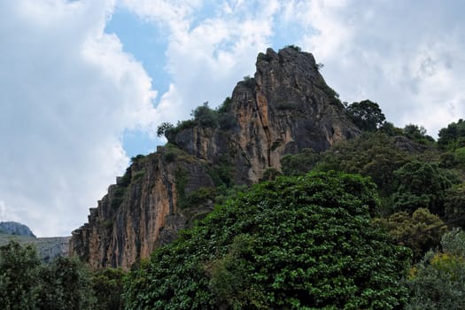 Black cliff towering above the forest