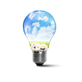 Illustration of an electric light bulb with clean and safe nature inside it Conceptual illustration