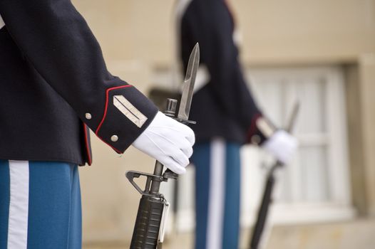 Guns of Denmark Royal Guard. Taken as clouse up in Copenhagen, Denmark on November 2011.