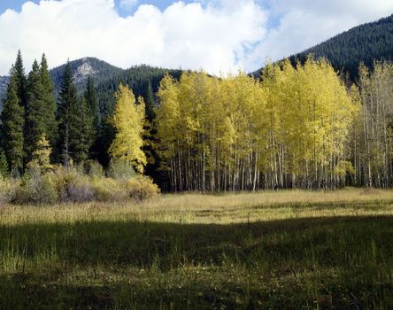 Fall in Rocky Mountains, Colorado