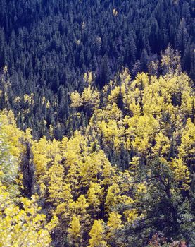 Autumn in Rocky Mountains, Colorado