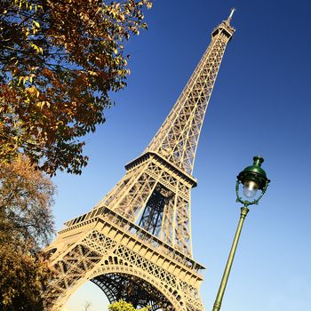 famous Eiffel Tower and trees in Paris, France