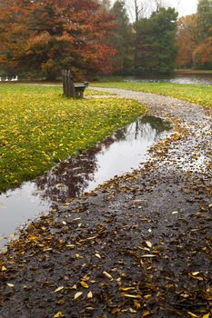 puddle on the path in deep autumn