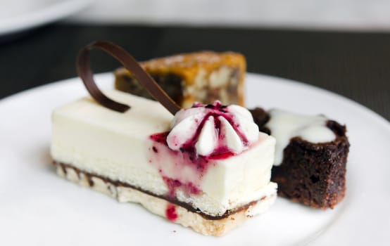 blueberries cheese cake and  sweet dessert on white dish