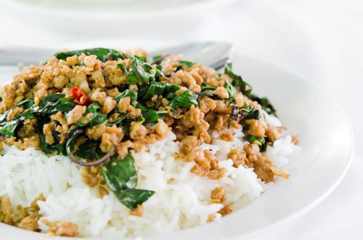  minced pork   fried with chilli pepper and sweet basil and rice