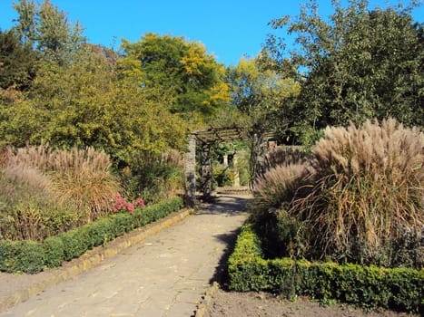 Pathway in the Rookery, Streatham Common, London on a clear day