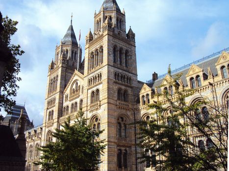 The Natural History Museum, London, England at the entrance


The Natural History Museum, London, England at the entrance