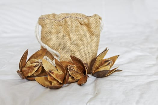 A display of cotton dehydrated buds with open petals showing cotton squares with a hessian gift holdall presentation bag on a ruffled linen backdrop. Generic image taken in a Bangalore studio, India