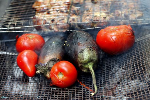Grilled chicken with a tomato and eggplant