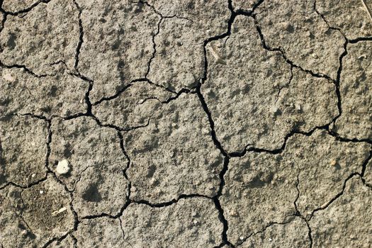 Close up detail of dry cracked earth