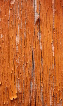 Peeled paint falling off old wooden door
