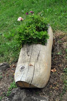 Original flower pot made of an old clog