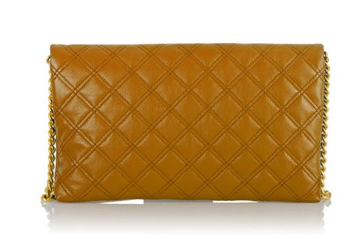 Elegant woman bag isolated on white