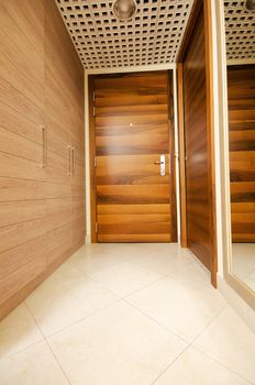 Door in the modern interior