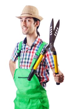 Man gardener with shears on white