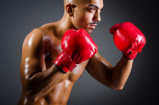 Muscular boxer in studio shooting