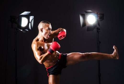 Boxer and studio lights