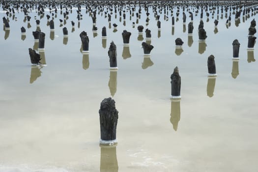 Remains of an old covering for salt production on a lake Baskunchak