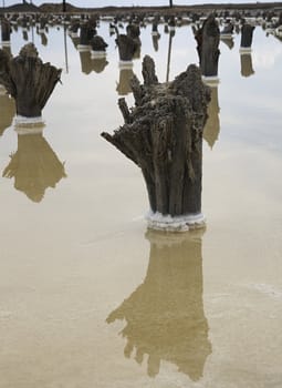 Remains of an old covering for salt production on a lake Baskunchak