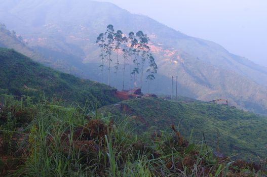 rosy dawn at mountainsides