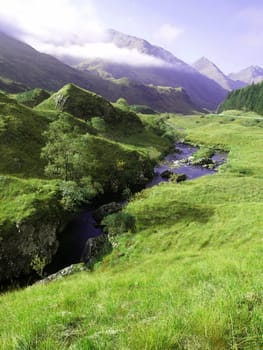 Green grass of a mountain