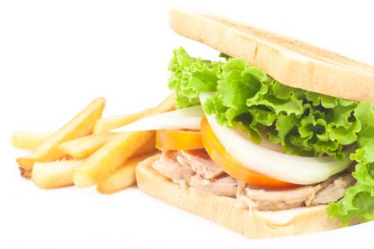 Tuna sandwich with french fries on white isolated
