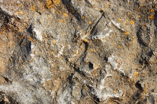 Fragment of stone surface rarely covered with petty lichen