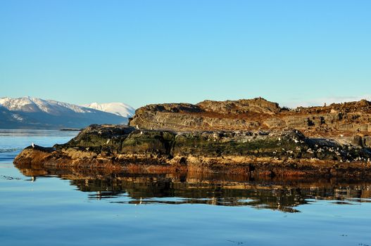 An island in the Beagle Channel with Cormorants.