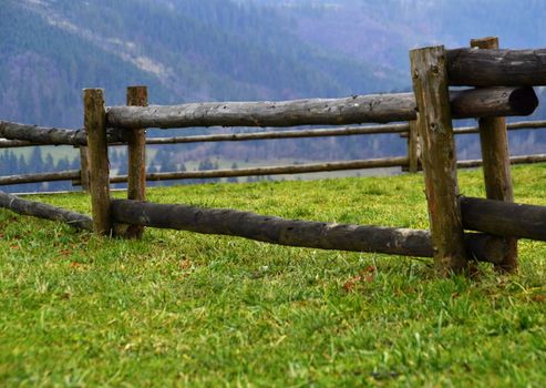 wooden fence landscape of tree trunks greenfield