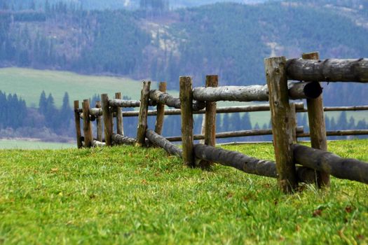 wooden fence landscape of tree trunks greenfield