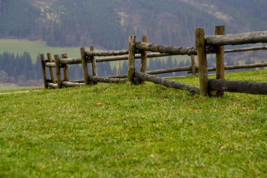 wooden fence landscape of tree trunks greenfield